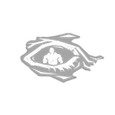 Dark Sense