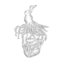 Eruption