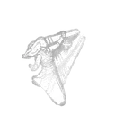 Salvation's Cry